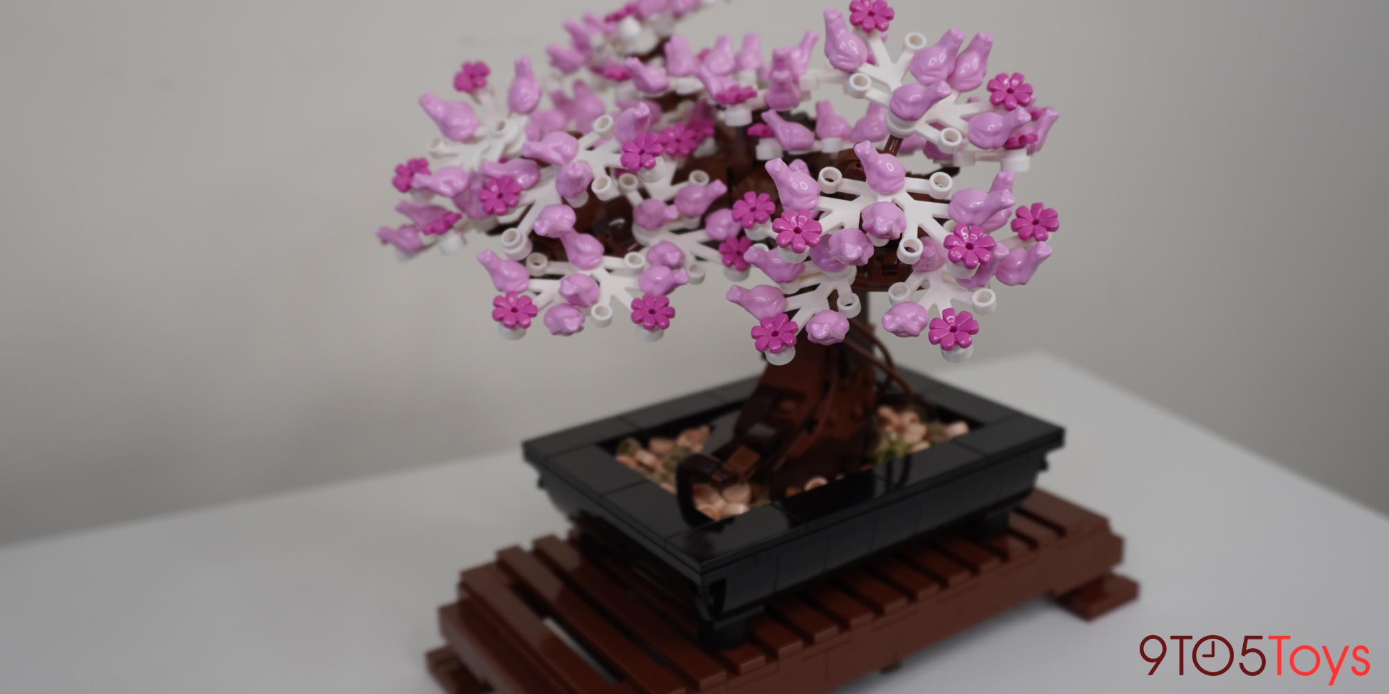 Bring LEGO's fanfavorite Bonsai Tree to your collection at an alltime
