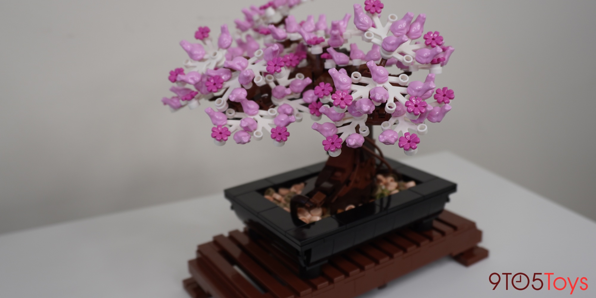 LEGO Bonsai Tree review: 2021's best creation so far - 9to5Toys