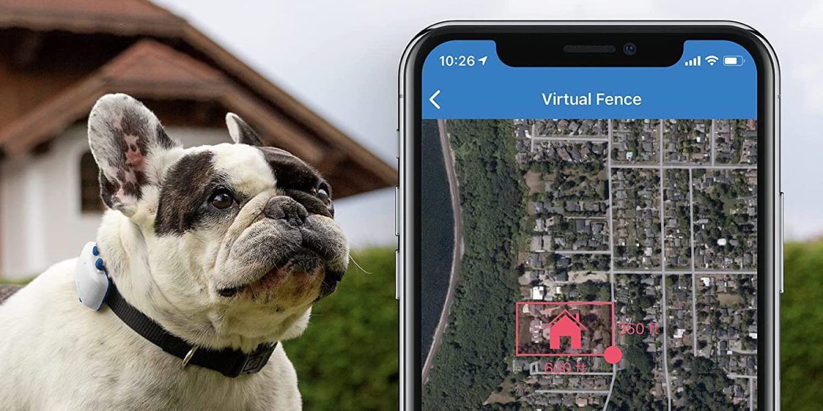 Geofence your pup Tractive LTE Dog Tracker now matching Amazon low at