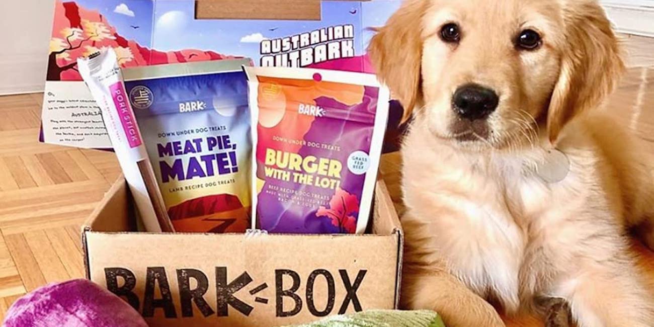 Score your pups a treats/toys BarkBox sub at 50 off, now 17.50 for