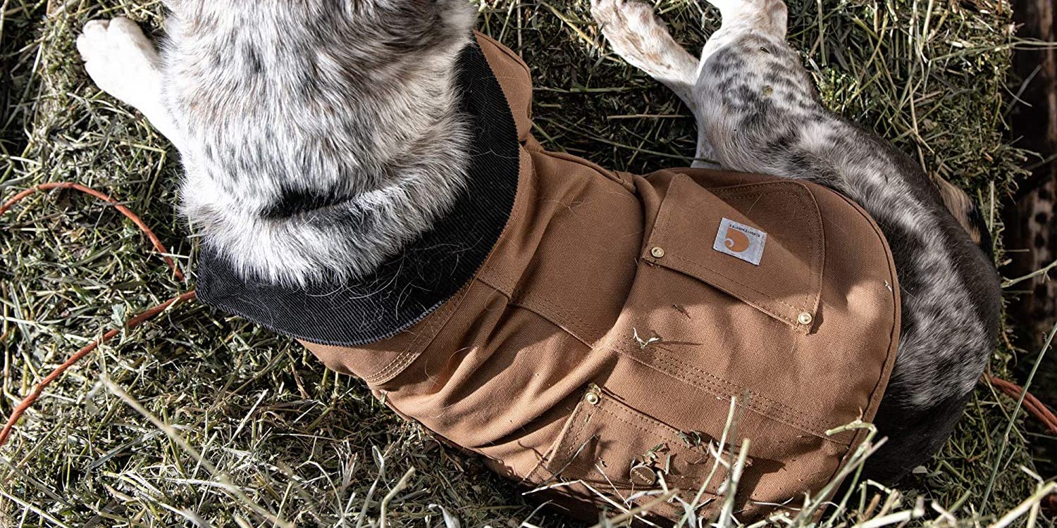 Land a rare offseason deal on Carhartt's Duck Insulated Dog Chore Coat