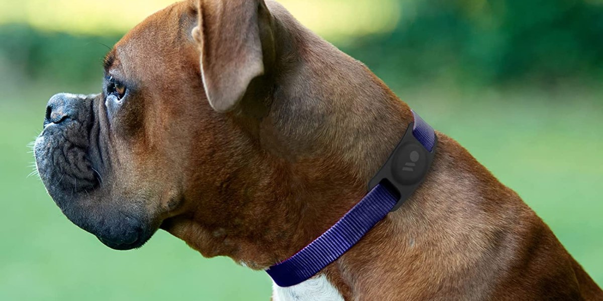 Case-Mate's AirTag-ready dog tag collar holder sees first discount to $15 -  9to5Toys