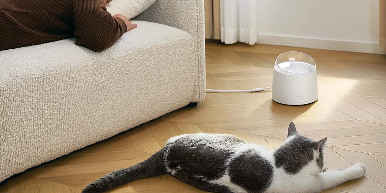 Let eufy's filtered pet water fountain take care of the job for you