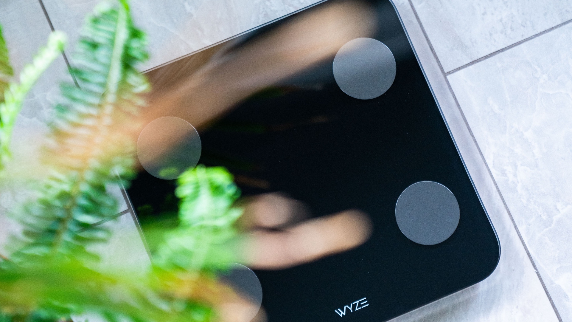 The Wyze Scale S costs just $15, making it one of the cheapest