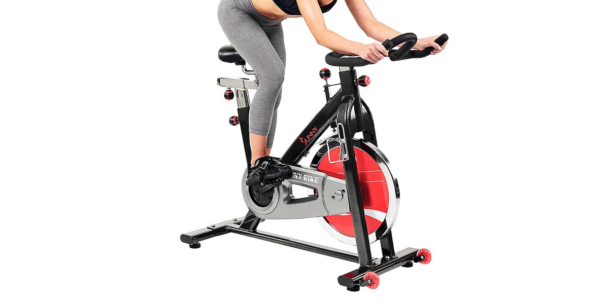 best sunny health and fitness bike