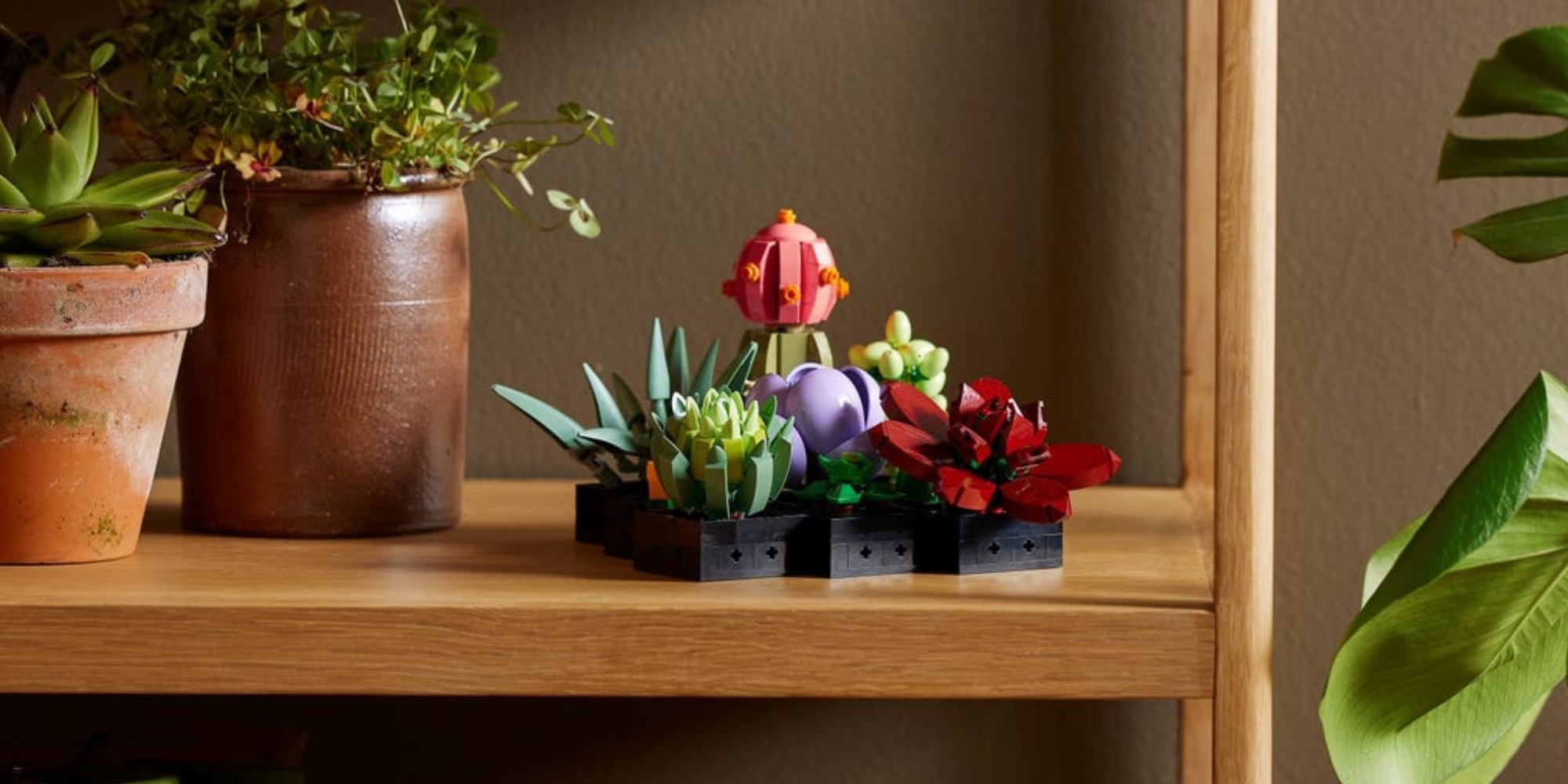 Assemble some LEGO greenery with discounts on succulents, orchids, and