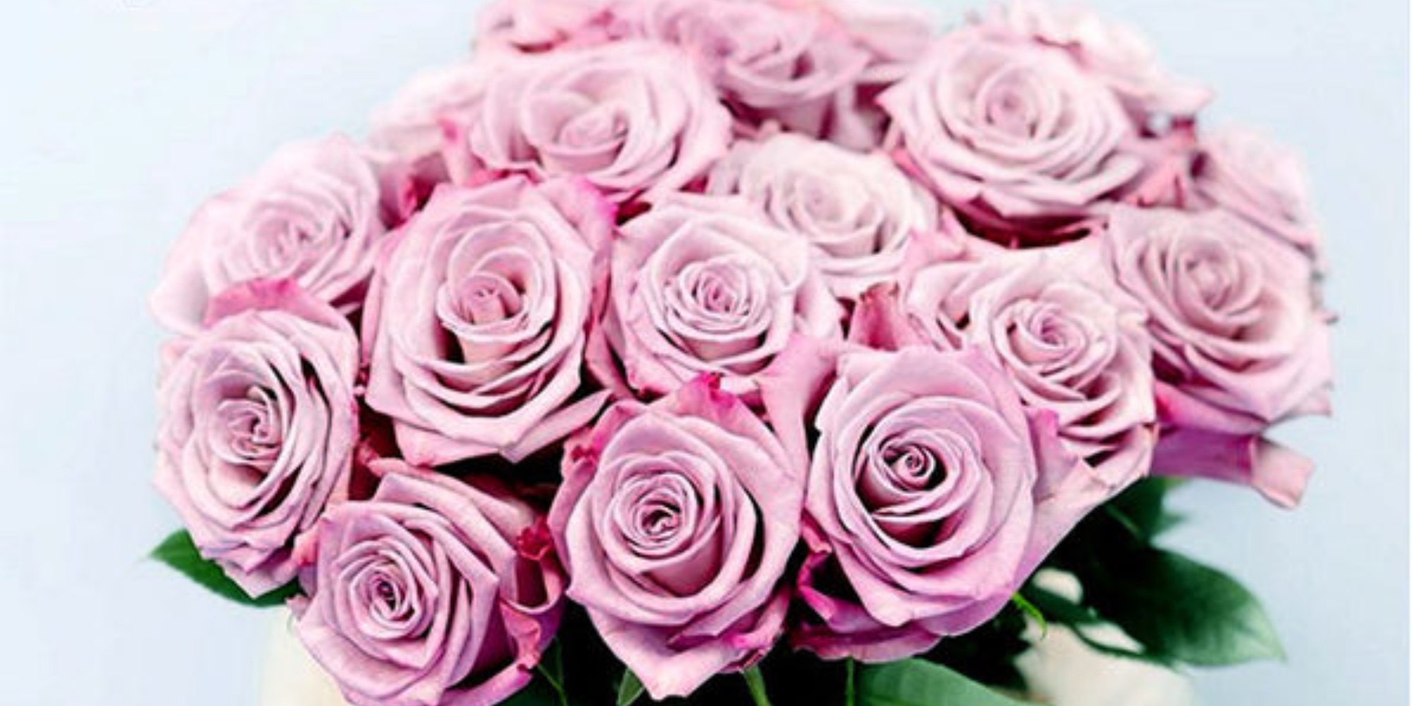 Get 24 mixed-color roses delivered in time for Mother’s Day for just ...