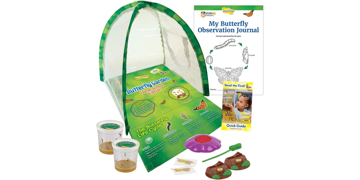 Experience the process of metamorphosis with Insect Lore's STEM