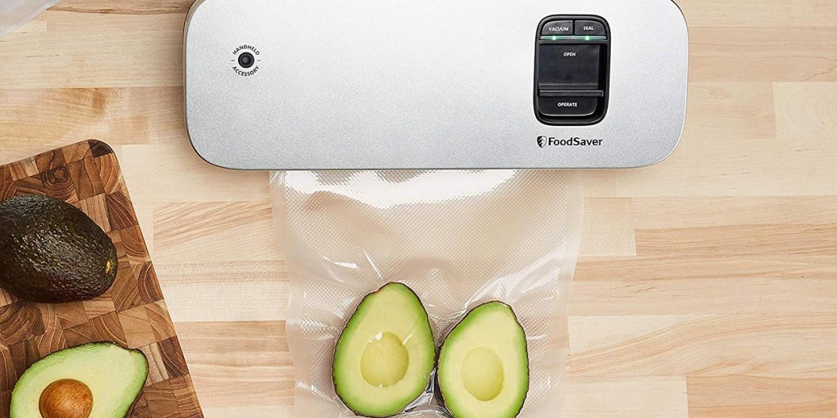 FoodSaver Cordless Handheld Food Vacuum Sealer, Charger & 2 Gallon Zipper  Bags