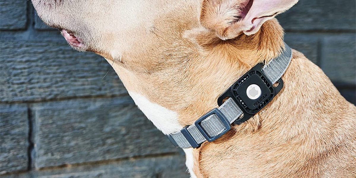 New  low hits Pelican's AirTag Dog Collar Holder at $20