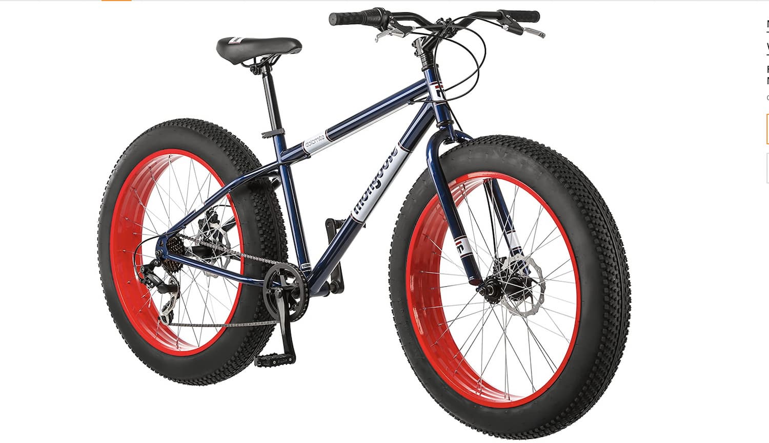 evo fat tire bike