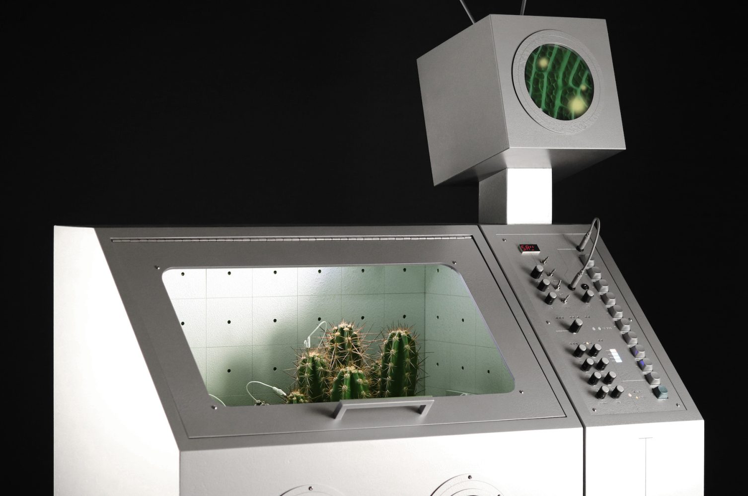 Love Hulten Desert Songs