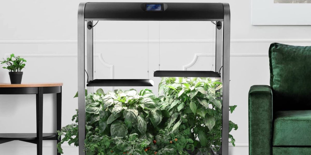 Grow the whole family's veggies year round with AeroGarden's indoor ...