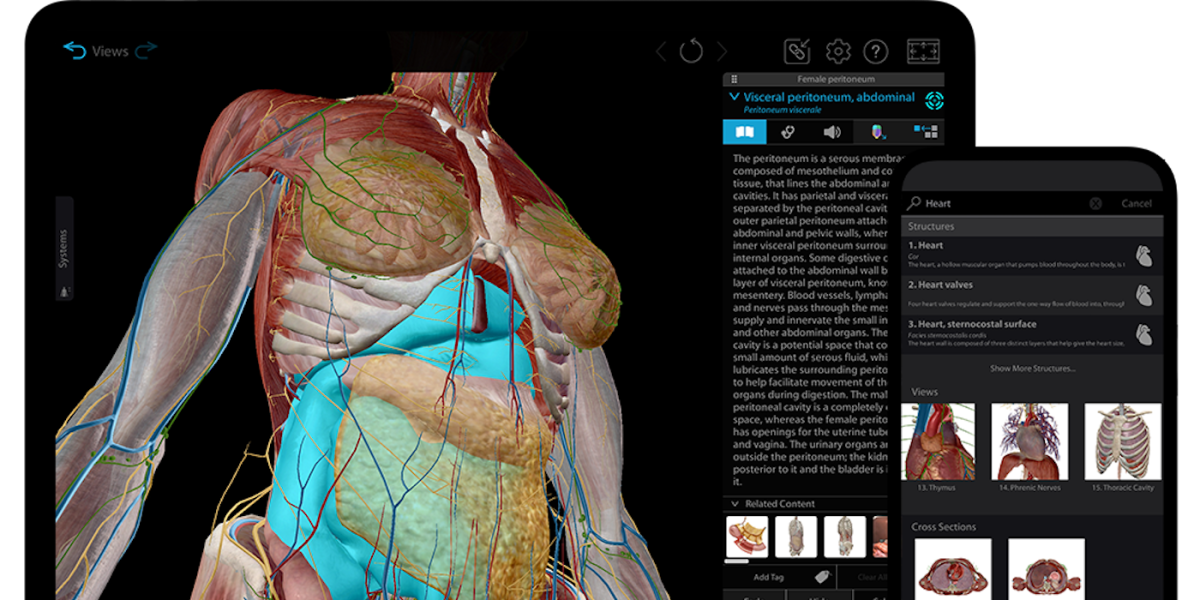 Human Anatomy Atlas 2023