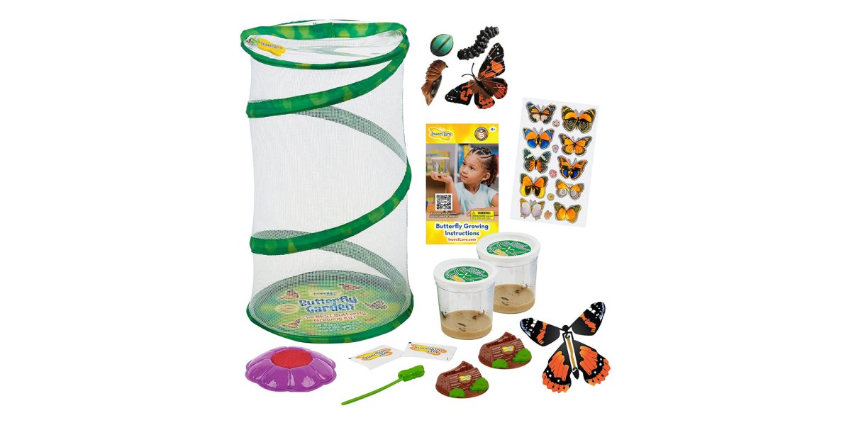 Insect Lore's Mini Butterfly Garden Kit comes with two caterpillar cups