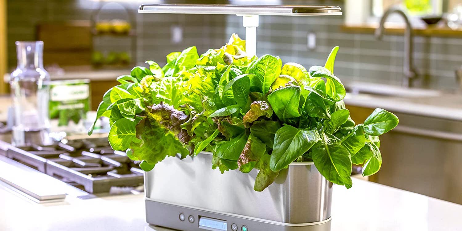 https://9to5toys.com/wp-content/uploads/sites/5/2023/05/AeroGarden-Harvest-Elite-Slim-indoor-garden.jpg