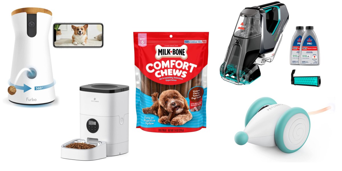 Amazon Pet Day 2023 live with deals on tech, cameras, toys, treats