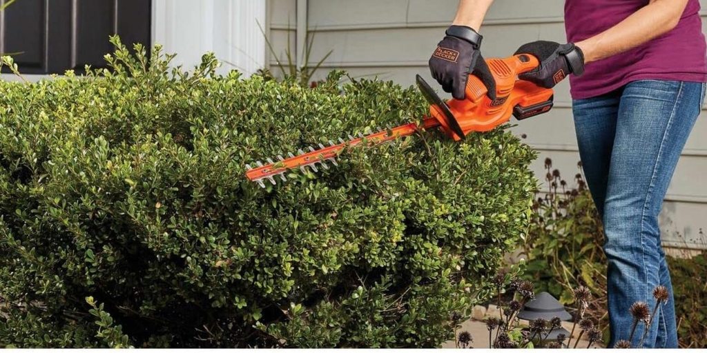 Black & Decker 10 In. 8A 2-in-1 Electric Pole Chainsaw - Town