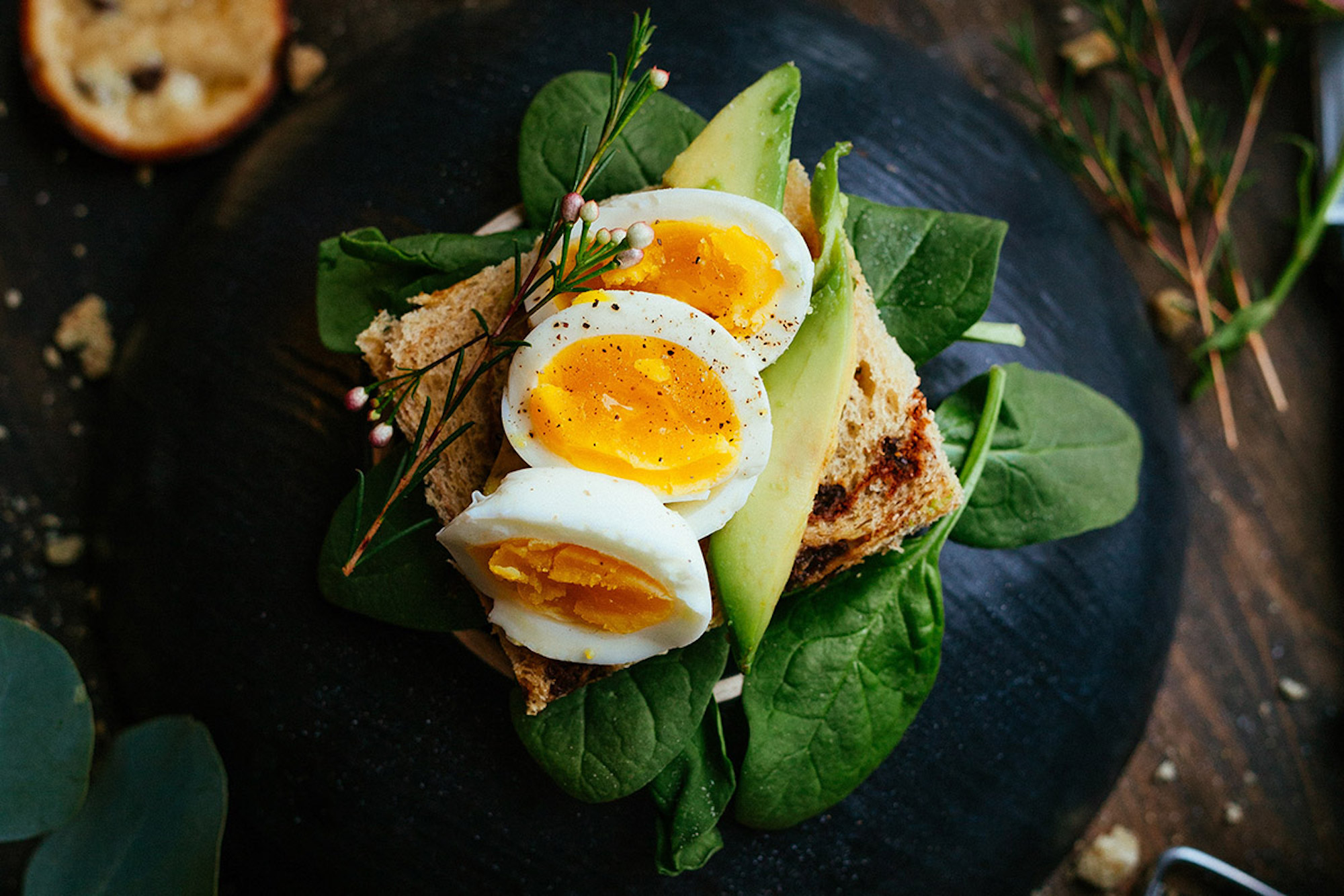 a close up of a plate of food