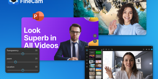 graphical user interface, website
