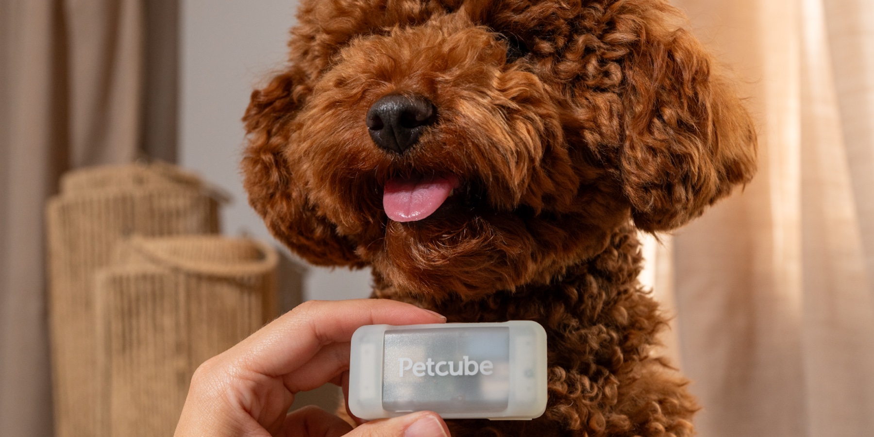 Tractive GPS Tracker for Dogs - Waterproof, GPS Location & Smart Pet  Activity Tr
