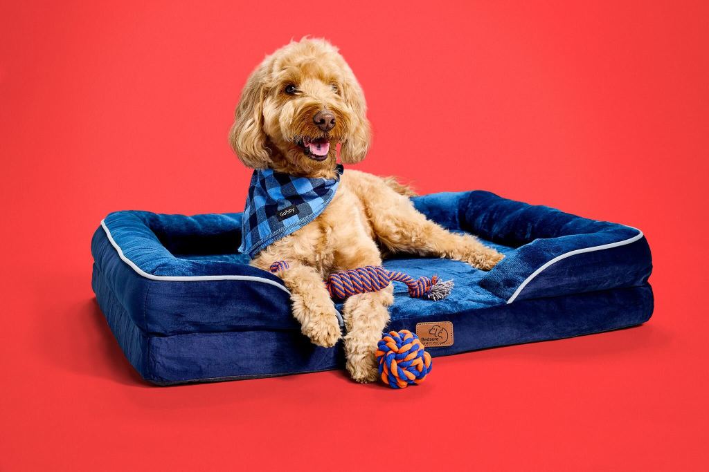 Amazon Pet Day deals beds and home and travel