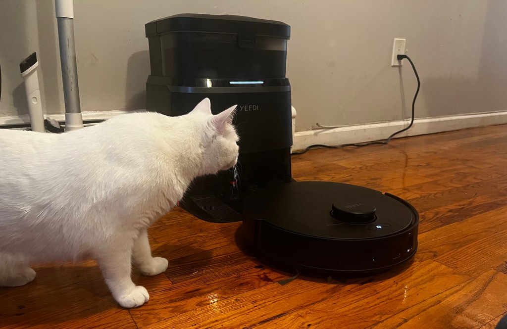 cat checking out the new Yeedi M12 PRO+ robot vacuum and mop