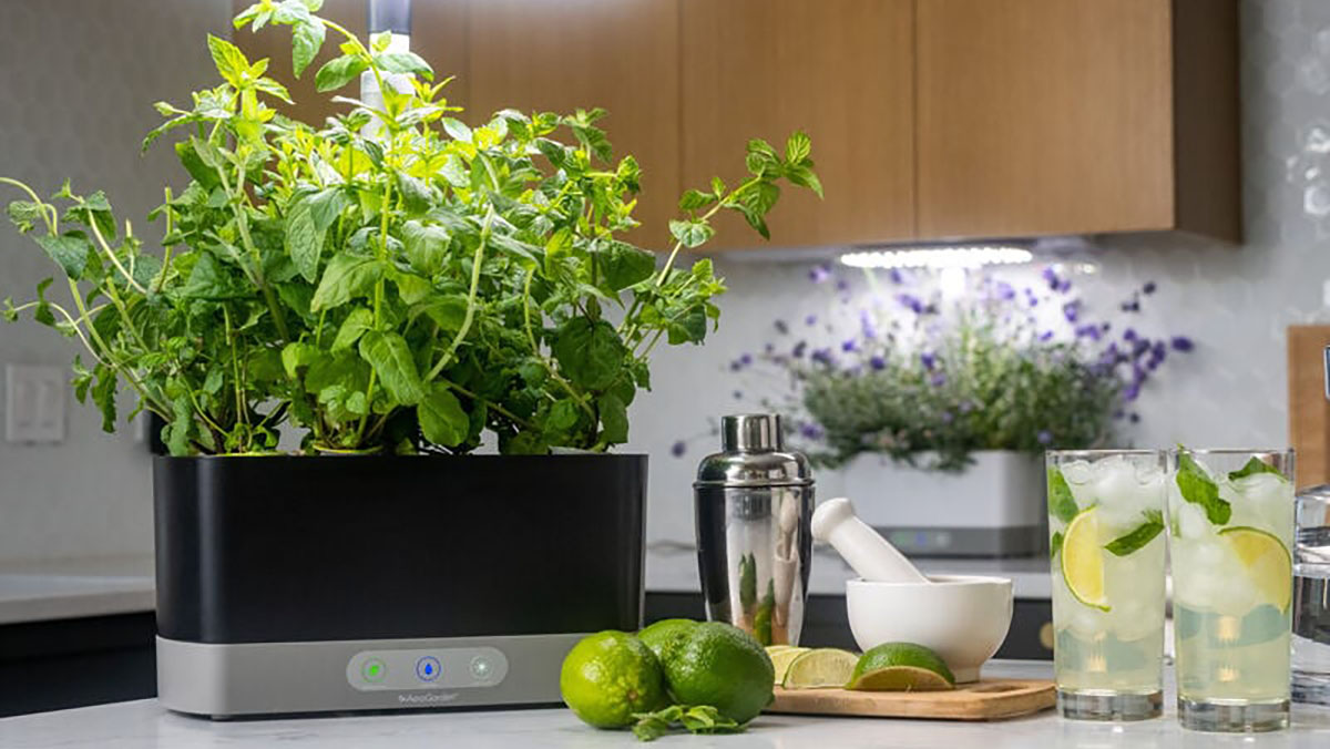 Pick up AeroGarden’s six-plant Harvest XL indoor hydroponic garden system down at a $81 low right now