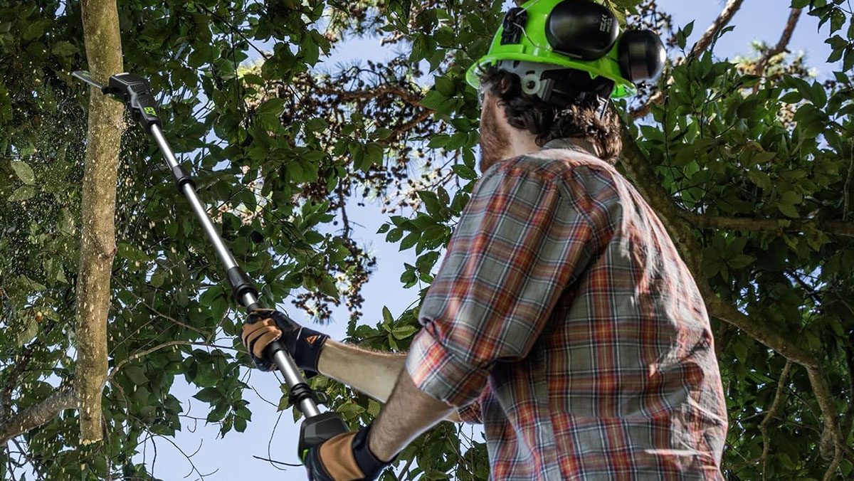 The pro-tier 80V 10-inch cordless electric pole saw from Greenworks is back down at $200 (best in over a year)