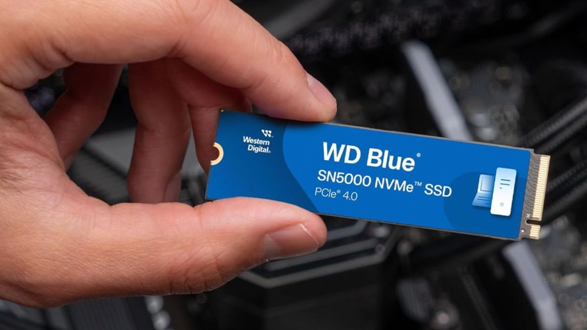 WD Blue SN5000 SSD