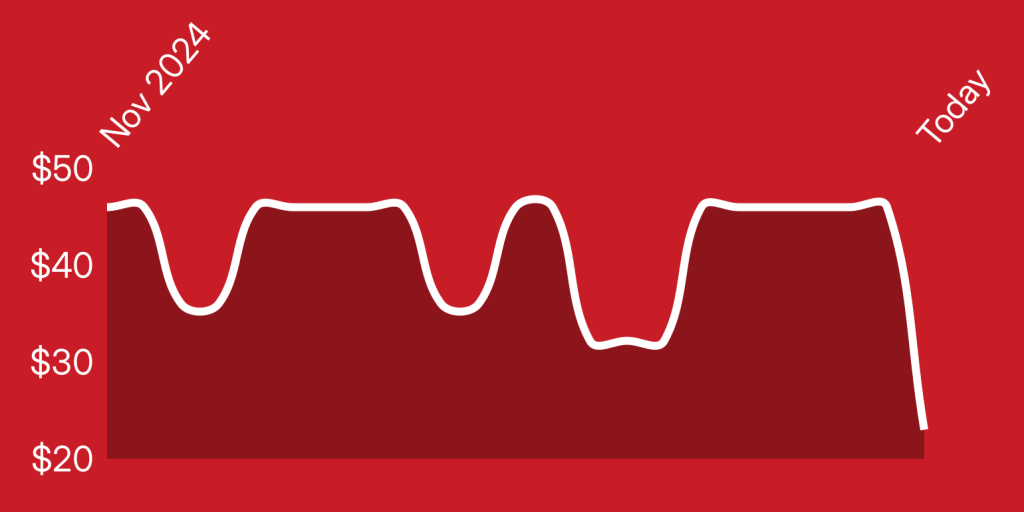 text, shape, rectangle