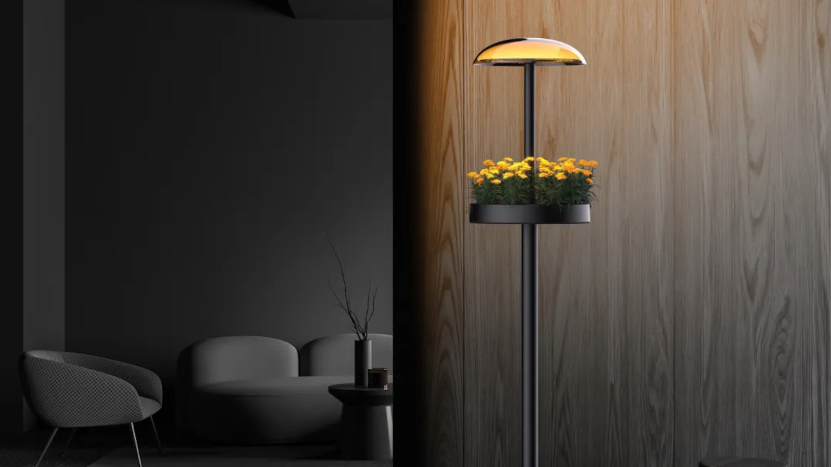 LG plant lamp