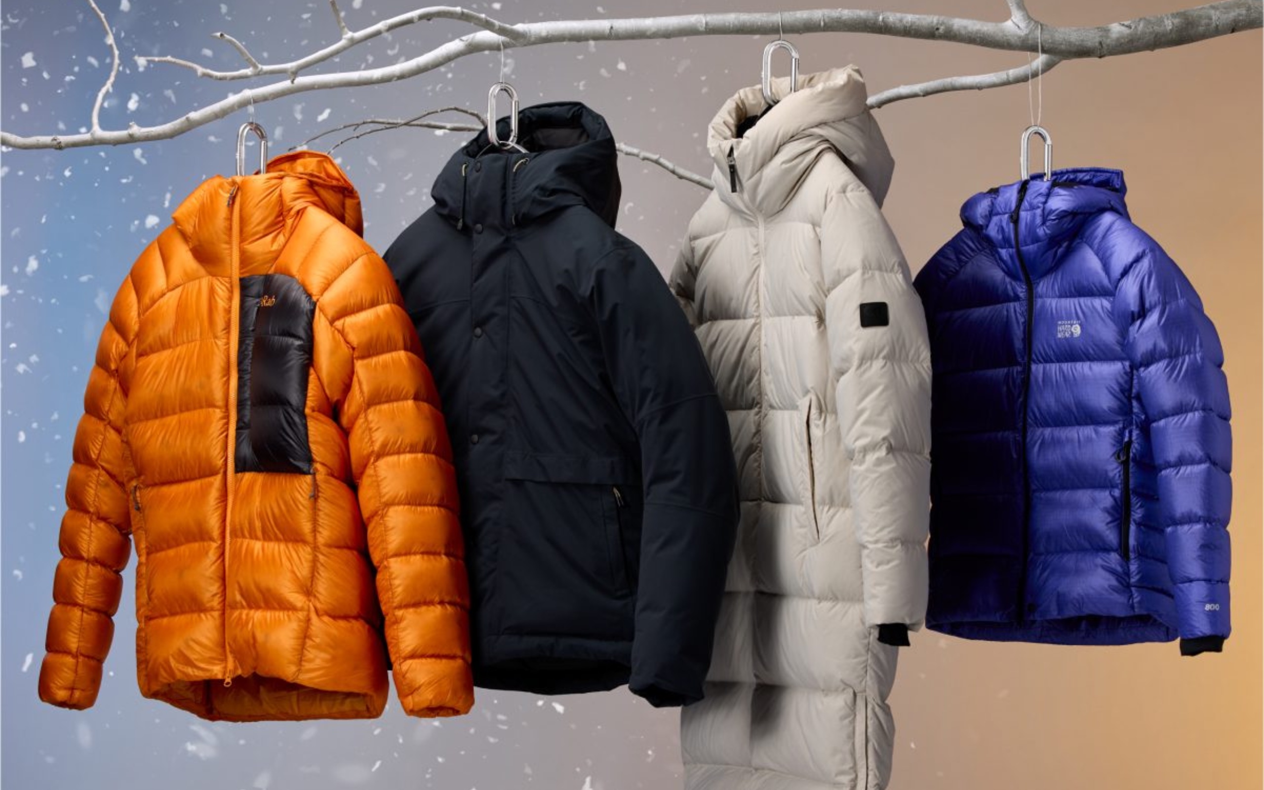 A group of coats on a tree branch