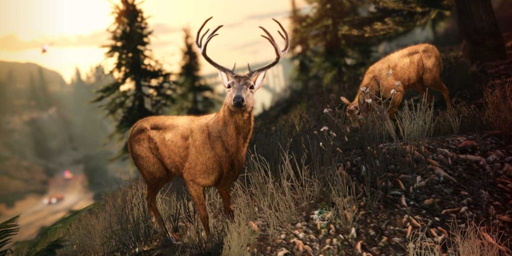 A deer with antlers standing on a hill