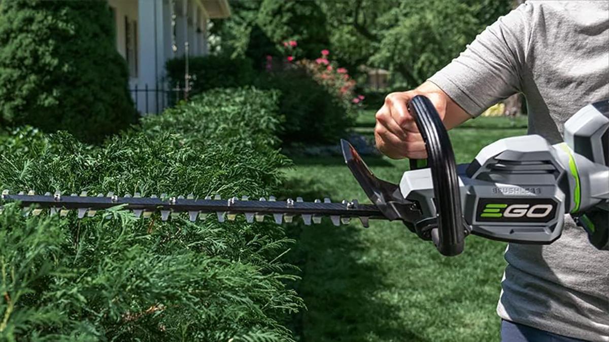 A person holding a hedge trimmer