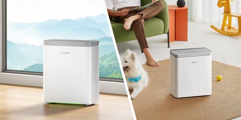 A collage of a person sitting in a chair and a dog