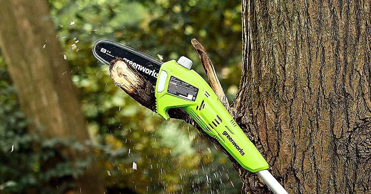 There’s still time to add Greenwork’s 24V 8-inch cordless pole saw to your arsenal down at a 0 low