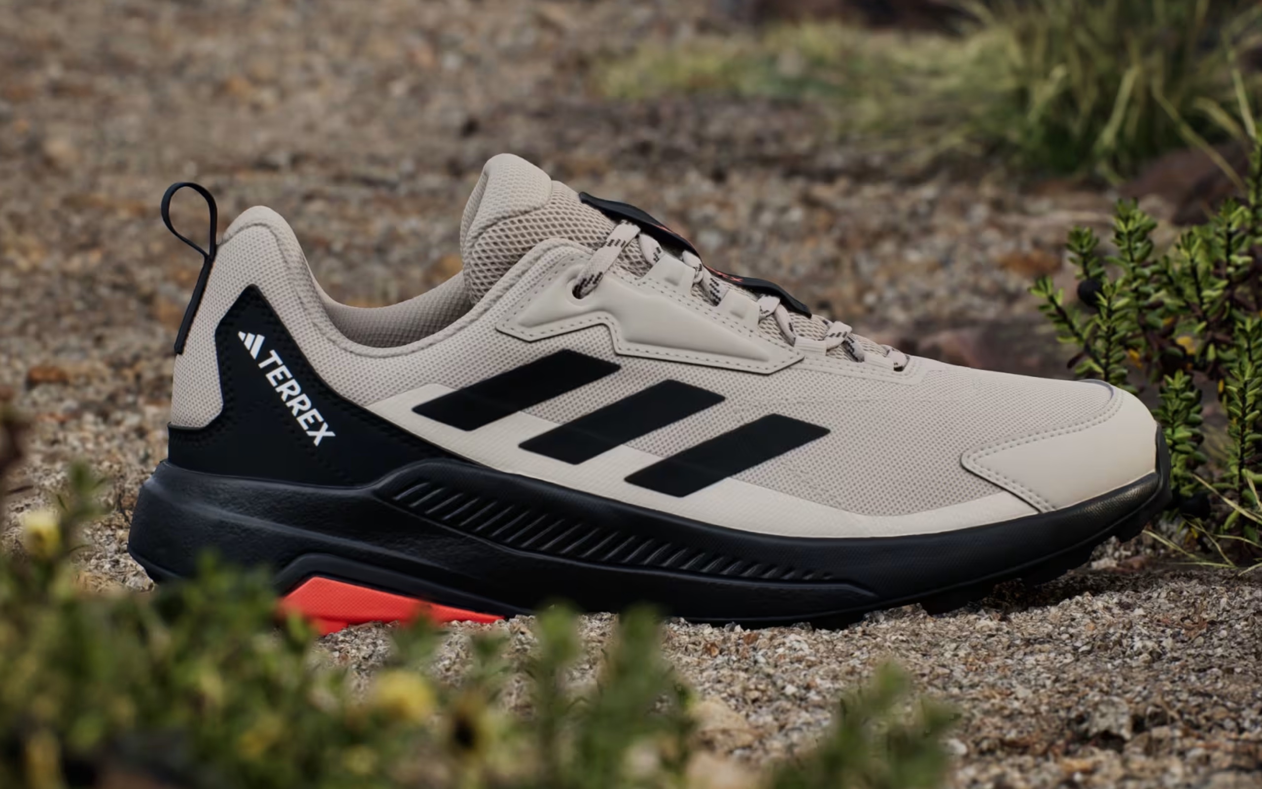 A close up of a shoe