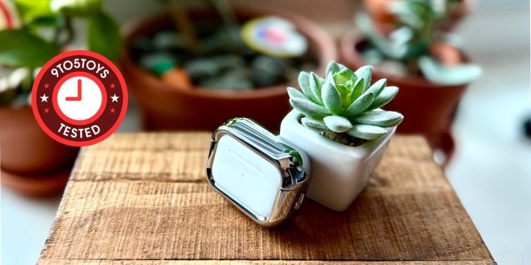 A small plant in a white pot