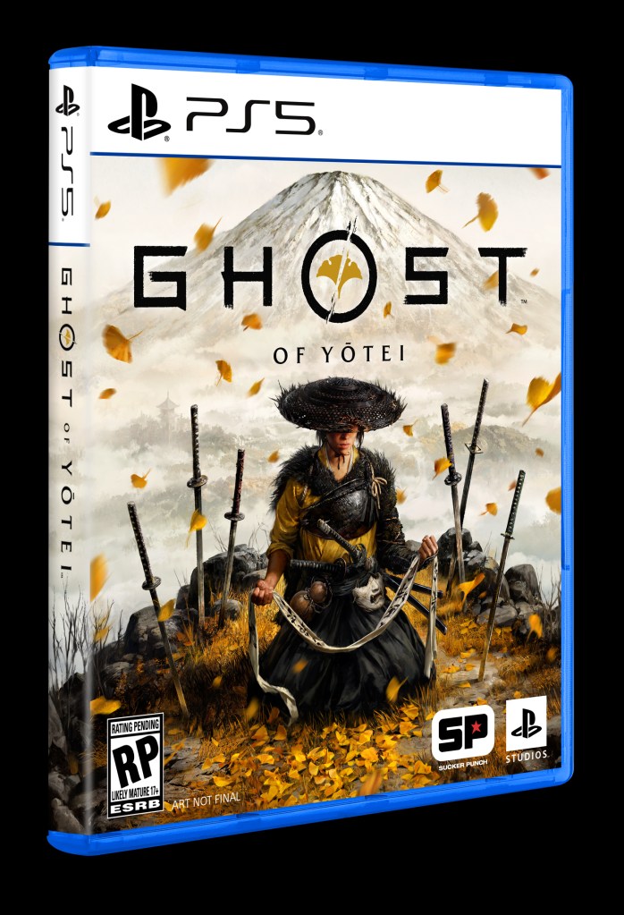 A video game cover with a person in a hat and sword