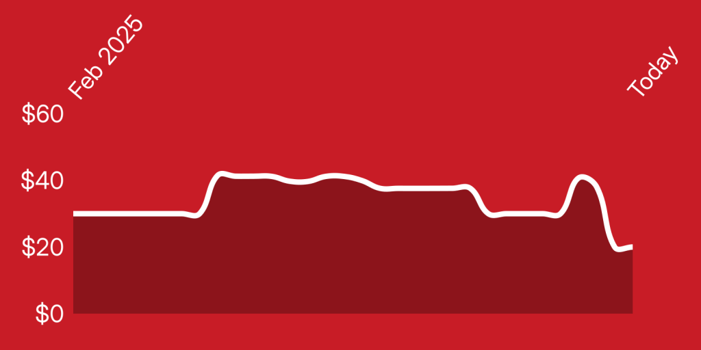 A line of a heart rate