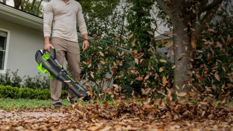A man holding a leaf blower