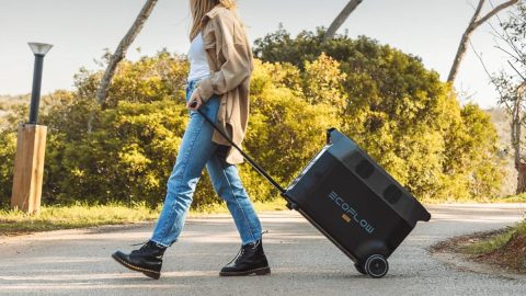 A woman pulling a black suitcase