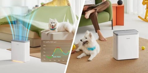 A collage of a dog and a person sitting on a couch