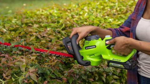 A person holding a green and red hedge trimmer