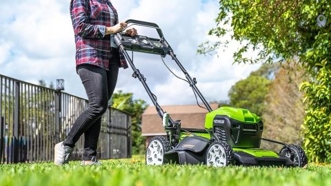A person with a lawnmower