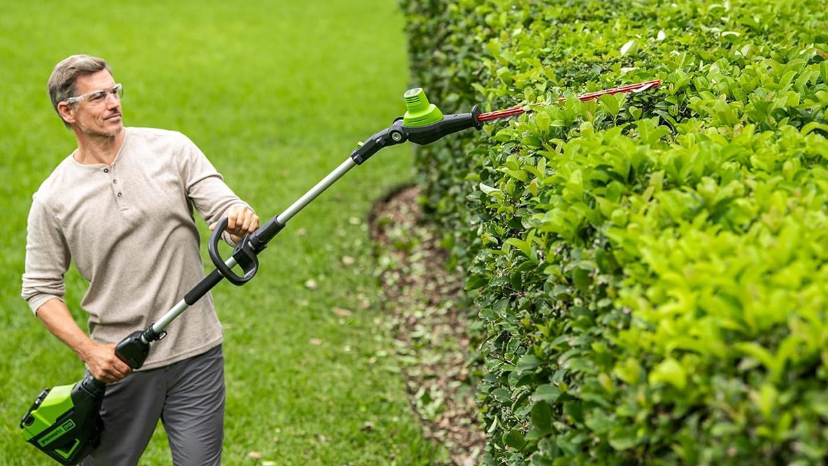A person cutting a hedge with a trimmer