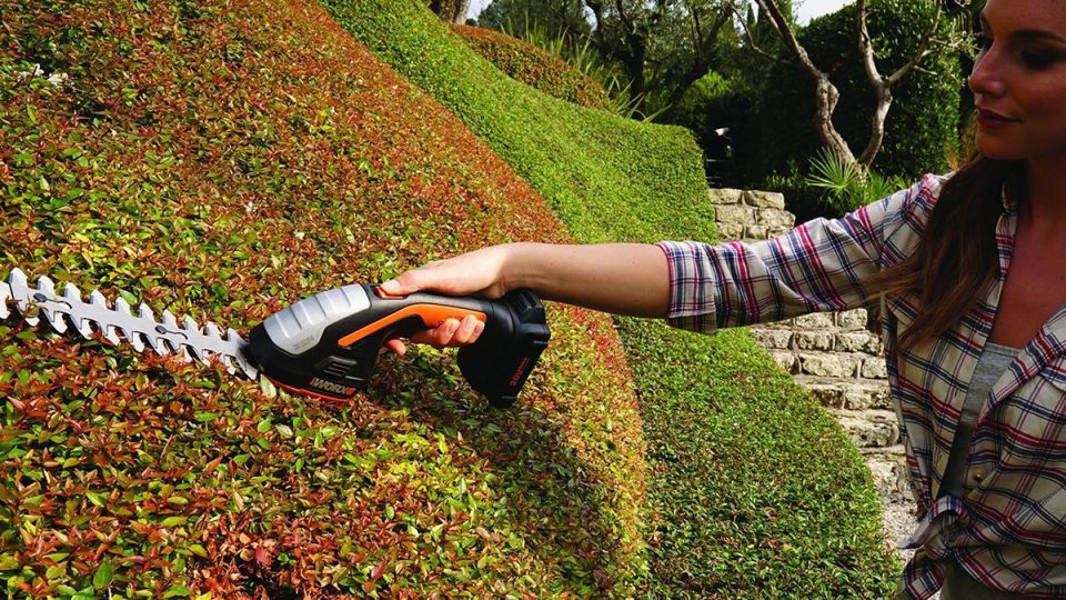 A person using a power tool to trim bushes