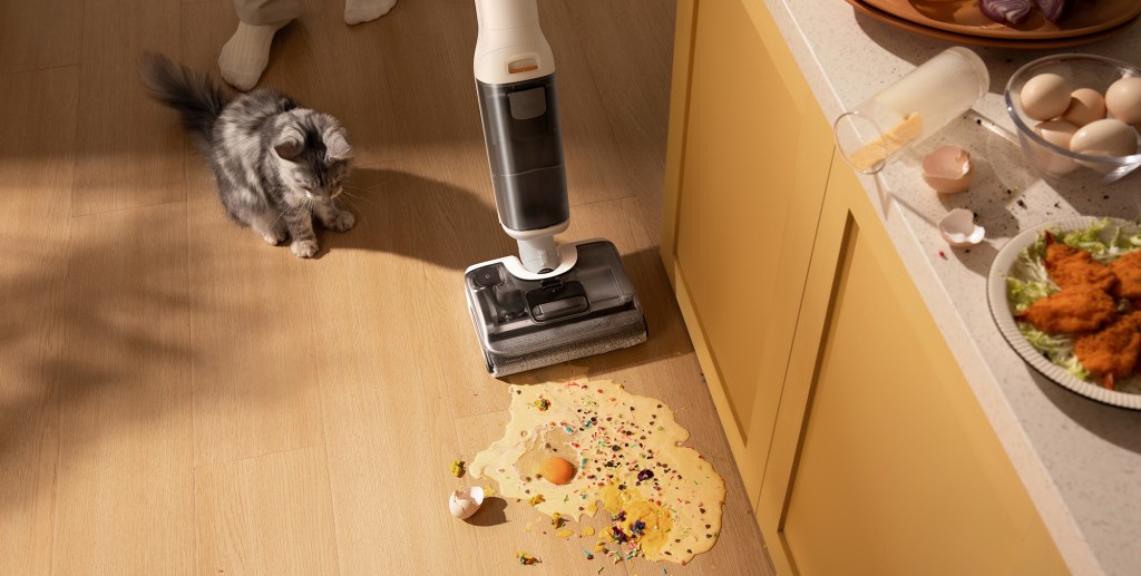 A cat next to a vacuum cleaner