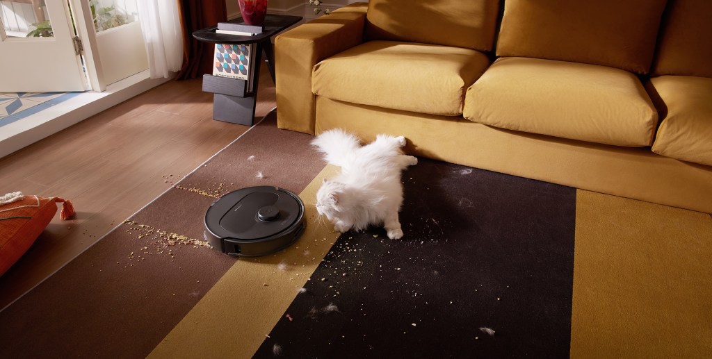 A cat on the floor